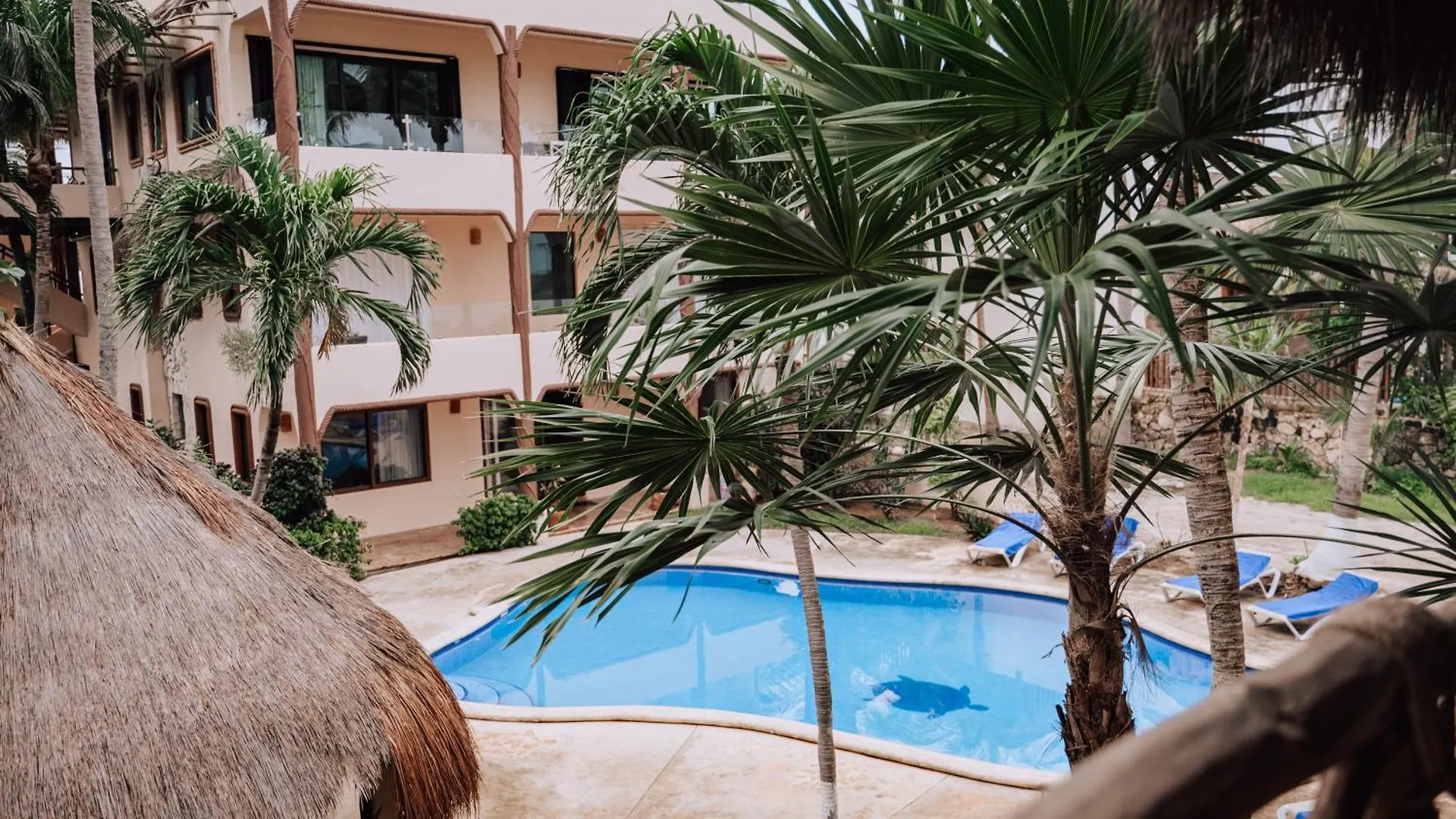 Villas Kaan Puerto Morelos Guest house